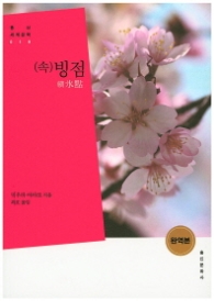 속 빙점(홍신 세계문학 019)